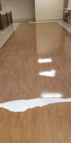 Resilient vinyl flooring getting an application of a protective coating.
