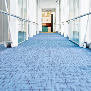 Reimaging Carpet Care – Unlock the Power of Prevention