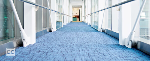 carpeted hallway - reimaging carpet care