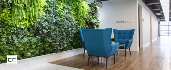Modern office with comfortable sofa and green plants and pristine floors