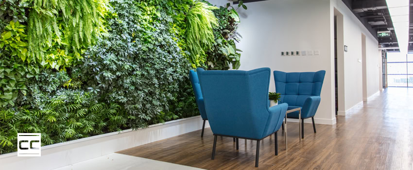 sustainability-in-surface-care Modern office with comfortable sofa and green plants and pristine floors