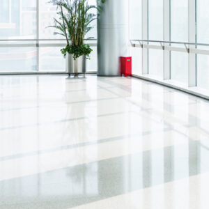 Terrazzo Refinishing Services